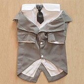 ieftine Costumele-Câini Pisici Costum Modă Petrecere Iarnă Respirabil Απαλό Lavabil Comfortabil În aer liber Casul / Zilnic Îmbrăcăminte pentru câini for Bichon Frise Pomeran un Animalut Fluture Small