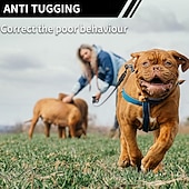 cheap Dog Training &amp; Behavior-2 In 1 Function Dog Training Collar &amp; Anti Tugging Pulling Dog Leash IPX7 Waterproof &amp;Training Beep Vibration Shock 9 Level Collar