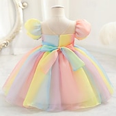 abordables Robes de fête-Tout-petit Fille Robe de Soirée Arc-en-ciel Manche Courte Mariage Soirée Mignon Princesse Polyester Été Printemps 3-7 Ans Multicouleur