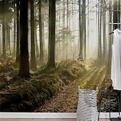 baratos Papel de Parede-Papéis de parede legais floresta papel de parede mural adesivo de parede cobrindo impressão casca e vara removível autoadesivo floresta secreta pvc/vinil decoração de casa