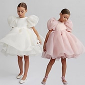 cheap Flower Girl&#039;s Dresses-Kids Girls&#039; Flower Girl Dress Party Dress Solid Color Graphic Short Sleeve Performance Wedding Party Fashion Adorable Daily Cotton Party Dress Spring Fall 2-8 Years White Ivory Pink