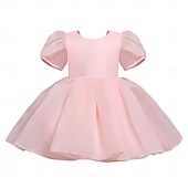 cheap Flower Girl&#039;s Dresses-Kids Girls&#039; Flower Girl Dress Party Dress Solid Color Graphic Short Sleeve Performance Wedding Party Fashion Adorable Daily Cotton Party Dress Spring Fall 2-8 Years White Ivory Pink