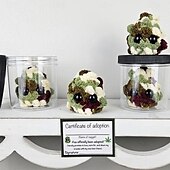 cheap Gifts-Adopt a Weed Nugget Plushie, Little Weed Nugget Plushie with Encouragement Cards, in a Jar Handmade Plush Stuffed Toys, Best Buds for Life Desktop Ornaments Gift