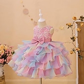 preiswerte Partykleider-kinderkleidung Mädchen Party Kleid Regenbogen Blume Ärmellos Besondere Anlässe Prinzessin Polyester abendkleider Sommer Frühling 3-12 Jahre Mehrfarbig Rosa Leicht Blau