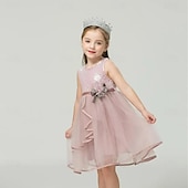 cheap Fairytale Theme Dresses-Kids Little Girls&#039; Dress Flower Swing Dress Party Birthday Daily Lace Ruffle Mesh Green White Pink Sleeveless Cute Princess Sweet Dresses Spring Summer 2-6 Years