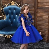 levne Párty šaty-Děti Dívčí Šaty Šaty na párty Pevná barva Flitry Květiny Krátký rukáv Svatební Zvláštní příležitosti Krásná Sladký Polyester Síťka Midi Léto Jaro Podzim 4-13 let Žlutá Světlá růžová Fialová