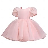 cheap Flower Girl&#039;s Dresses-Kids Girls&#039; Flower Girl Dress Party Dress Solid Color Graphic Short Sleeve Performance Wedding Party Fashion Adorable Daily Cotton Party Dress Spring Fall 2-8 Years White Ivory Pink