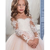preiswerte Kleider für die Blumenmädchen-Blumenmädchenkleid Mädchen Prinzessinenkleid Kleid für die Erstkommunion Party Kleid Leistung Hochzeit Party Prinzessin Süß Gitter Feste Farbe Langarm Rundhalsausschnitt Weiß Elfenbein 2-12 Jahre