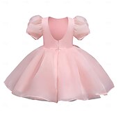 cheap Flower Girl&#039;s Dresses-Kids Girls&#039; Flower Girl Dress Party Dress Solid Color Graphic Short Sleeve Performance Wedding Party Fashion Adorable Daily Cotton Party Dress Spring Fall 2-8 Years White Ivory Pink