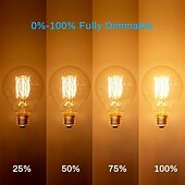 voordelige Gloeilamp-1/2 stuks 40w edison lamp g80 g95 g125 dimbare retro lamp e27/e26 basis antieke rechte lamp amber glas 2200k warm gele gloeilamp gebruikt voor huisverlichting decoratie ac110v ac220v