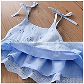 abordables Vestidos casuales-Niños Chica Vestido Color sólido Sin Mangas Fiesta Exterior Casual Moda Diario Poliéster Verano Primavera 2-13 años Rosa Azul cielo