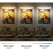 cheap Cabinet Light-Rechargeable Picture Light with Remote, Dimmable Wireless Battery Painting Light, Art Light Display Lamp with Dimmable Timer, Picture Light for Picture Gallery Dart 30/40cm