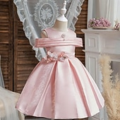 levne Párty šaty-Děti Dívčí Šaty Šaty na párty Pevná barva Bez rukávů Výkon Zvláštní příležitosti Nabírané šaty Denní Princeznovské Polyester Midi Bruslařské šaty Léto Jaro 2-12 let Více barev Světle zelená Světl