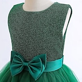 preiswerte Partykleider-kinderkleidung Mädchen Kleid Party Kleid Feste Farbe Ärmellos Besondere Anlässe Geburtstag Elegant Prinzessin Polyester Maxi abendkleider Sommer Frühling 4-13 Jahre Marineblau Grün