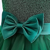 preiswerte Partykleider-kinderkleidung Mädchen Kleid Party Kleid Feste Farbe Ärmellos Besondere Anlässe Geburtstag Elegant Prinzessin Polyester Maxi abendkleider Sommer Frühling 4-13 Jahre Marineblau Grün