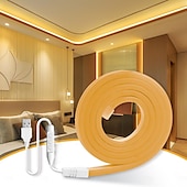 abordables Bandes lumineuses usb-Bande lumineuse néon étanche USB 5 V, 3,3 à 9,8 pieds, boîtier de batterie, alimentation électrique, corde lumineuse 120 LED/m, bande lumineuse LED étanche adaptée aux chambres à coucher, armoires de