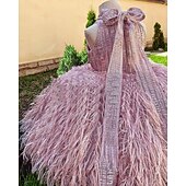 levne Párty šaty-Batole Dívčí Šaty na párty Flitry Bez rukávů Výkon Síťka Roztomilý Princeznovské Polyester Nad kolena Plášťové šaty Tylové šaty Léto Jaro Podzim 3-7 let Šampaňská Světlá růžová