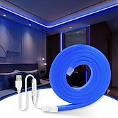 abordables Bandes lumineuses usb-Bande lumineuse néon étanche USB 5 V, 3,3 à 9,8 pieds, boîtier de batterie, alimentation électrique, corde lumineuse 120 LED/m, bande lumineuse LED étanche adaptée aux chambres à coucher, armoires de