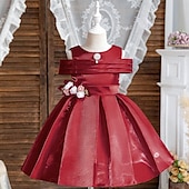 levne Párty šaty-Děti Dívčí Šaty Šaty na párty Pevná barva Bez rukávů Výkon Zvláštní příležitosti Nabírané šaty Denní Princeznovské Polyester Midi Bruslařské šaty Léto Jaro 2-12 let Více barev Světle zelená Světl