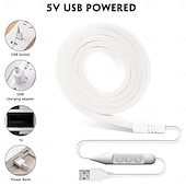 abordables Bandes lumineuses usb-Bande lumineuse néon étanche USB 5 V, 3,3 à 9,8 pieds, boîtier de batterie, alimentation électrique, corde lumineuse 120 LED/m, bande lumineuse LED étanche adaptée aux chambres à coucher, armoires de
