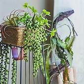 billige Kunstige planter og blomster-1 stk kunstige sukkulenter hengende planter, falske perlestrenger grøntplanter, for veggbryllupsfest hjemmeinnredning, utendørs hageinnredning, innendørs utendørsdekor, vårsommerdekor