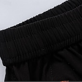 baratos Calções de corrida-Homens calções atléticos Shorts ao ar livre Shorts de Trilha Cintura elástica Bolso Com Zíper Tecido Secagem Rápida Alta elasticidade Comprimento do joelho Ao ar livre Diário Streetwear Esportes Moda
