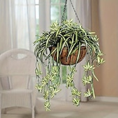 billige Kunstige planter og blomster-1 stk 60 cm store kunstige hengende planter, falske edderkoppplanter for hjemmeinnredning, falske grøntområder for hjemmehagekontor bryllupsdekorasjon