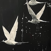 preiswerte Ölgemälde-handgemachtes Ölgemälde Leinwand WandKunst Dekor Original weißes Vogel Gemälde abstraktes Tiergemälde Wohndekor mit gespanntem Rahmen ohne Innenrahmen Gemälde
