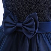 preiswerte Partykleider-kinderkleidung Mädchen Kleid Party Kleid Feste Farbe Ärmellos Besondere Anlässe Geburtstag Elegant Prinzessin Polyester Maxi abendkleider Sommer Frühling 4-13 Jahre Marineblau Grün