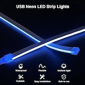 abordables Bandes lumineuses usb-Bande lumineuse néon étanche USB 5 V, 3,3 à 9,8 pieds, boîtier de batterie, alimentation électrique, corde lumineuse 120 LED/m, bande lumineuse LED étanche adaptée aux chambres à coucher, armoires de