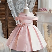 levne Párty šaty-Děti Dívčí Šaty Šaty na párty Pevná barva Bez rukávů Výkon Zvláštní příležitosti Nabírané šaty Denní Princeznovské Polyester Midi Bruslařské šaty Léto Jaro 2-12 let Více barev Světle zelená Světl