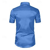 economico Camicie in raso da uomo-Per uomo Camicia Camicia in raso Camicia estiva Abbigliamento mare Maglietta informale Camicia con bottoni Strisce Matrimonio Da mare Bianco Verde chiaro Blu Manica corta Bavero Estate Abbigliamento