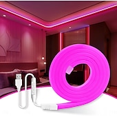 abordables Bandes lumineuses usb-Bande lumineuse néon étanche USB 5 V, 3,3 à 9,8 pieds, boîtier de batterie, alimentation électrique, corde lumineuse 120 LED/m, bande lumineuse LED étanche adaptée aux chambres à coucher, armoires de
