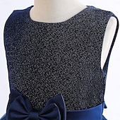 preiswerte Partykleider-kinderkleidung Mädchen Kleid Party Kleid Feste Farbe Ärmellos Besondere Anlässe Geburtstag Elegant Prinzessin Polyester Maxi abendkleider Sommer Frühling 4-13 Jahre Marineblau Grün