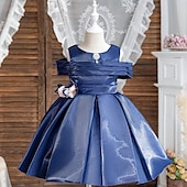 levne Párty šaty-Děti Dívčí Šaty Šaty na párty Pevná barva Bez rukávů Výkon Zvláštní příležitosti Nabírané šaty Denní Princeznovské Polyester Midi Bruslařské šaty Léto Jaro 2-12 let Více barev Světle zelená Světl