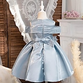 levne Párty šaty-Děti Dívčí Šaty Šaty na párty Pevná barva Bez rukávů Výkon Zvláštní příležitosti Nabírané šaty Denní Princeznovské Polyester Midi Bruslařské šaty Léto Jaro 2-12 let Více barev Světle zelená Světl