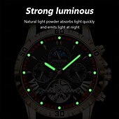 economico Orologi meccanici-poedagar orologio meccanico da uomo orologio da polso casual alla moda orologio automatico a carica automatica con fasi lunari luminoso orologio in acciaio impermeabile