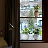 abordables Pegatinas de pared decorativas-Calcomanías autoadhesivas de pared de plantas en 3D: calcomanías impermeables, resistentes a la suciedad y fáciles de despegar y pegar para sala de estar, dormitorio, cocina y oficina: transforme su