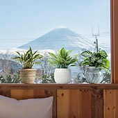 abordables Pegatinas de pared decorativas-Calcomanías autoadhesivas de pared de plantas en 3D: calcomanías impermeables, resistentes a la suciedad y fáciles de despegar y pegar para sala de estar, dormitorio, cocina y oficina: transforme su