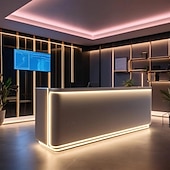 abordables Lampes néon led-1m 2m 3m Bandes Lumineuses LED Flexibles 120 LED Blanc Chaud Bandes lumineuses LED USB Alimenté par USB port