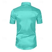 economico camicia da uomo con bottoni-Per uomo Camicia Camicia estiva Abbigliamento mare Camicia con bottoni Maglietta informale Bianco Verde chiaro Blu Manica corta Strisce Bavero Giornaliero Da mare Abbigliamento Di tendenza Informale