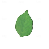 cheap Bookends &amp; Bookmarks-50 Leaf Shaped Sticky Notes Diy Home Wall Photo Decor Green Self Adhesive Memo Back To School Season School Supplies