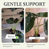 お買い得  植物ケアアクセサリー-2個/セット タートルシェル竹クランプセット、植物茎プラスチックサポート、タートルシェル竹クランプ再利用可能な植物保持サポート、花茎ホルダー