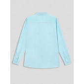voordelige Klassiek-Voor heren Overhemd linnen overhemd Zomer overhemd Strand Kleding Overhemd met knopen Effen Casual Dagelijks blauw Lange mouw Revers Lente &amp; Herfst Kleding