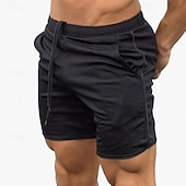abordables Shorts de running para hombre-Hombre Pantalones Cortos Running Shorts de gimnasio Pantalones de chándal Bolsillo Cintura elástica Bermudas Exterior Deporte Deportivo Secado rápido Ligero Suave Maratón Corriendo Rutina de ejercicio
