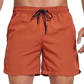 abordables shorts de baño para hombre-Hombre Pantalones de Surf Pantalones de Natación Boxers de Natación Correa Cintura elástica Plano Comodidad Secado rápido Corto Festivos Playa Fin de semana Moda Casual Azul cielo Sandía Roja