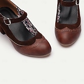billige 1920-tallet &amp; Gatsby-epoken-Kvinne Vintage Gatsby Brune Mary Jane Hæler-Retro Chunky Hæl Pumper Kontor og Hverdagsbruk