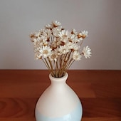 abordables Vases et corbeilles-50 tiges fleur d&#039;étoile en blanc, fleurs séchées, décoration de mariage, décoration intérieure, fleurs séchées, arrangements floraux, fleurs de mariage