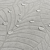 baratos Capa de cadeira-conjunto de capas de cadeira ajustáveis resistentes à água sala de jantar elástica jacquard elastano capa de assento removível capa de cadeiras de encosto alto