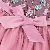 preiswerte Kleider für die Blumenmädchen-Mädchen&#039; 3D Blume Blumenmädchen Kleid Party Kleid Ärmellos Sommer Leistung Hochzeit Party Prinzessin Schön Süß kinderkleidung 4-12 Jahre abendkleider Schaukelkleid A Linie Kleid Midi Regular Fit